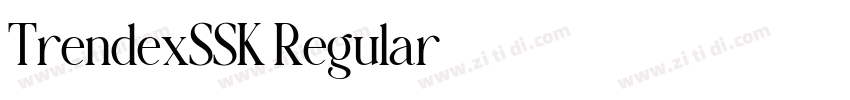 TrendexSSK Regular字体转换